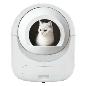 Self Cleaning Litter Boxes in Cat Litter Boxes