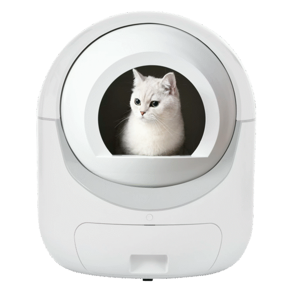 Self Cleaning Litter Boxes in Cat Litter Boxes