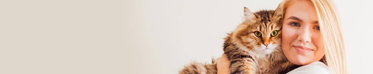 Premium Pet Supplies Curated for Your Beloved Companions
