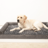 U-shaped detachable and washable pet sofa | Rose velvet four-season dog bed, anti-scratch sponge mattress for medium and large dogs, home-friendly design