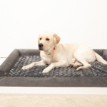 O1CN01bAyLSk1P6KJM21tHZ_!!2217537101791-0-cib U-shaped detachable and washable pet sofa | Rose velvet four-season dog bed, anti-scratch sponge mattress for medium and large dogs, home-friendly design