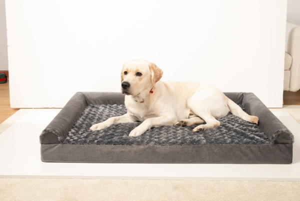 U-shaped detachable and washable pet sofa | Rose velvet four-season dog bed, anti-scratch sponge mattress for medium and large dogs, home-friendly design