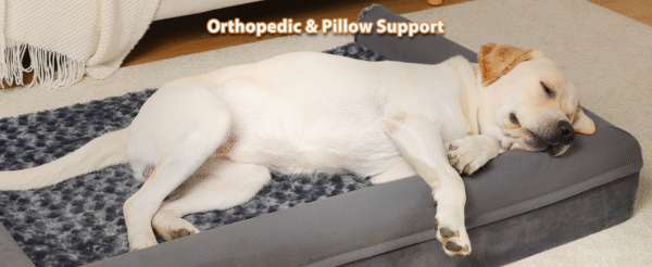 U-shaped detachable and washable pet sofa | Rose velvet four-season dog bed, anti-scratch sponge mattress for medium and large dogs, home-friendly design